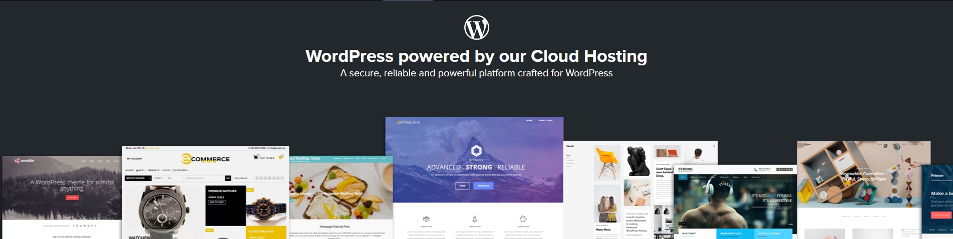 Wordpress Hosting