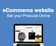 eCommerce website