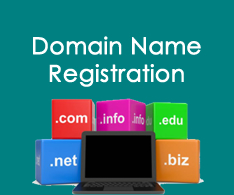 Domain Name Registration